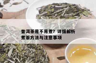 普洱茶用不用煮？详细解析煮茶方法与注意事项