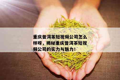 重庆普洱茶短视频公司怎么样呀，揭秘重庆普洱茶短视频公司的实力与魅力！