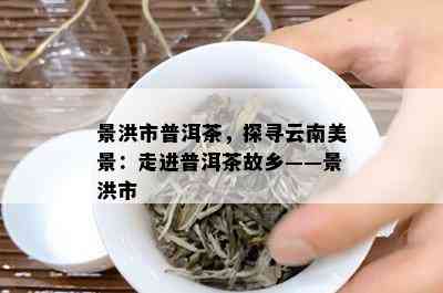 景洪市普洱茶，探寻云南美景：走进普洱茶故乡——景洪市