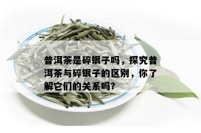 普洱茶是碎银子吗，探究普洱茶与碎银子的区别，你了解它们的关系吗？