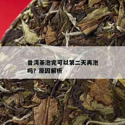 普洱茶泡完可以第二天再泡吗？原因解析