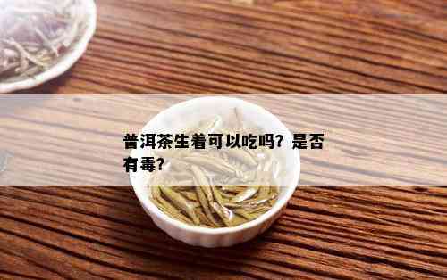 普洱茶生着可以吃吗？是否有？