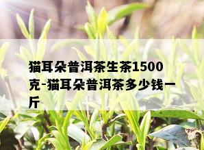 猫耳朵普洱茶生茶1500克-猫耳朵普洱茶多少钱一斤