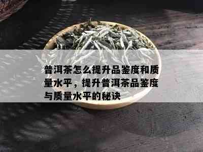 普洱茶怎么提升品鉴度和质量水平，提升普洱茶品鉴度与质量水平的秘诀