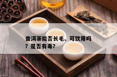 普洱茶能否长毛、可饮用吗？是否有？