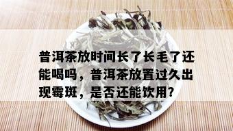 普洱茶放时间长了长毛了还能喝吗，普洱茶放置过久出现霉斑，是否还能饮用？