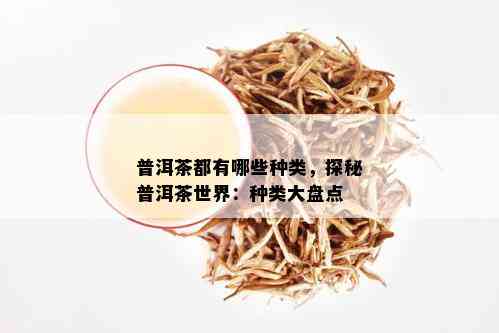 普洱茶都有哪些种类，探秘普洱茶世界：种类大盘点