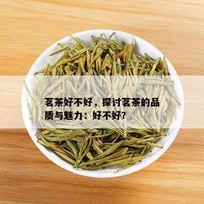 茗茶好不好，探讨茗茶的品质与魅力：好不好？