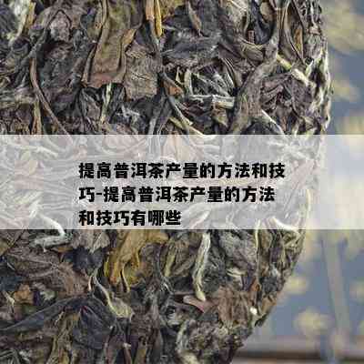 提高普洱茶产量的方法和技巧-提高普洱茶产量的方法和技巧有哪些