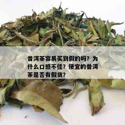 普洱茶容易买到假的吗？为什么口感不佳？便宜的普洱茶是否有假货？