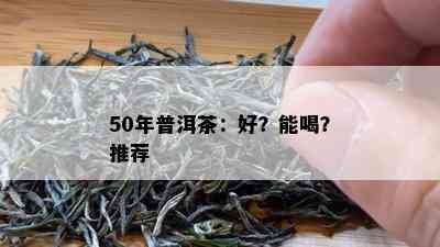 50年普洱茶：好？能喝？推荐