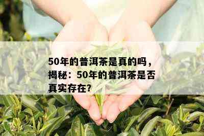 50年的普洱茶是真的吗，揭秘：50年的普洱茶是否真实存在？