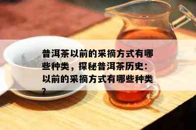 普洱茶以前的采摘方式有哪些种类，探秘普洱茶历史：以前的采摘方式有哪些种类？