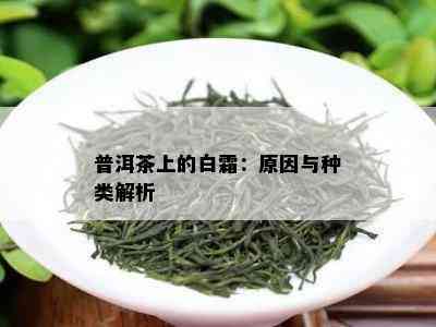 普洱茶上的白霜：原因与种类解析