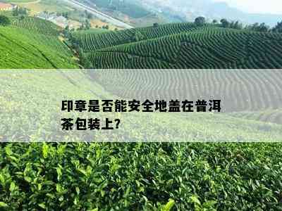 印章是否能安全地盖在普洱茶包装上？