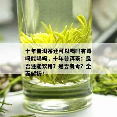 十年普洱茶还可以喝吗有吗能喝吗，十年普洱茶：是否还能饮用？是否有？全面解析！