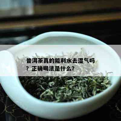 普洱茶真的能利水去湿气吗？正确喝法是什么？