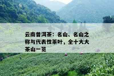 云南普洱茶：名山、名山之称与代表性茶叶，全十大大茶山一览