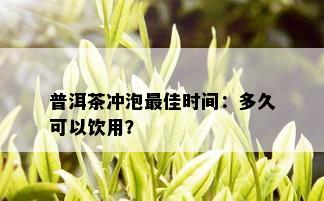 普洱茶冲泡更佳时间：多久可以饮用？