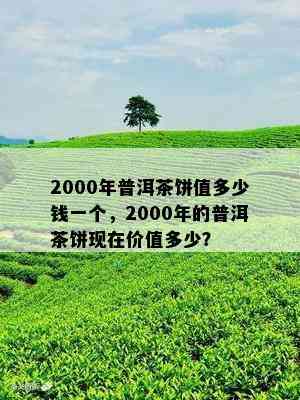 2000年普洱茶饼值多少钱一个，2000年的普洱茶饼现在价值多少？