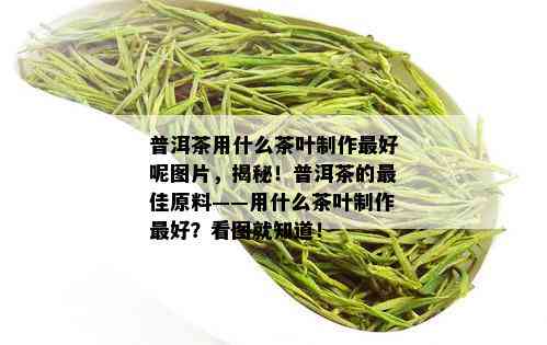 普洱茶用什么茶叶制作更好呢图片，揭秘！普洱茶的更佳原料——用什么茶叶制作更好？看图就知道！