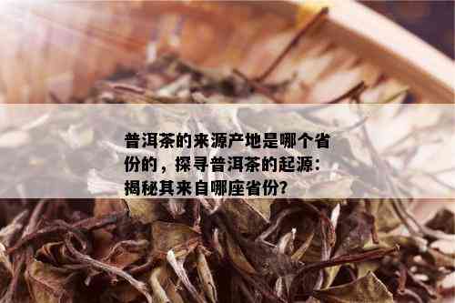 普洱茶的来源产地是哪个省份的，探寻普洱茶的起源：揭秘其来自哪座省份？