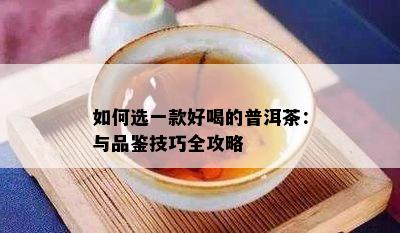 如何选一款好喝的普洱茶：与品鉴技巧全攻略