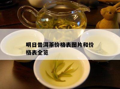 明日普洱茶价格表图片和价格表全览