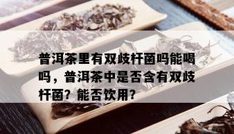 普洱茶里有双歧杆菌吗能喝吗，普洱茶中是否含有双歧杆菌？能否饮用？