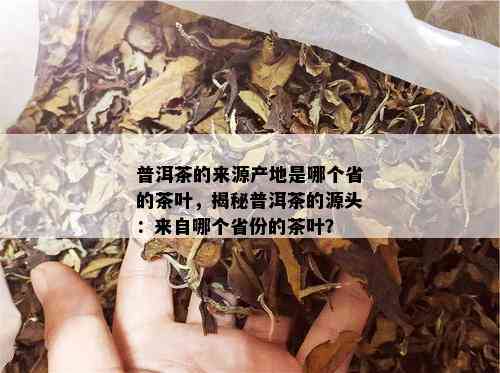 普洱茶的来源产地是哪个省的茶叶，揭秘普洱茶的源头：来自哪个省份的茶叶？