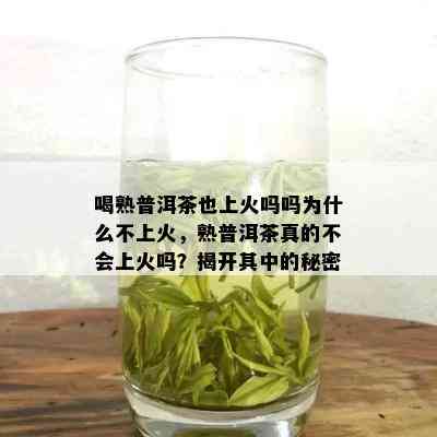 喝熟普洱茶也上火吗吗为什么不上火，熟普洱茶真的不会上火吗？揭开其中的秘密