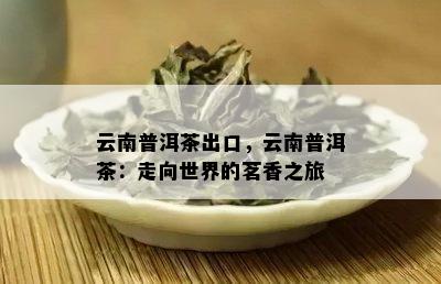 云南普洱茶出口，云南普洱茶：走向世界的茗香之旅