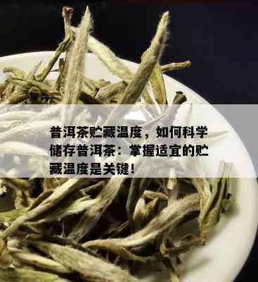 普洱茶贮藏温度，如何科学储存普洱茶：掌握适宜的贮藏温度是关键！