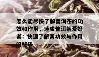 怎么能尽快了解普洱茶的功效和作用，速成普洱茶爱好者：快速了解其功效与作用的秘诀