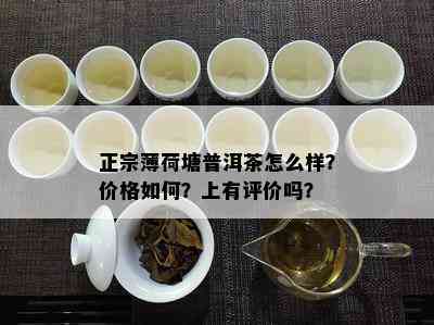 正宗薄荷塘普洱茶怎么样？价格如何？上有评价吗？