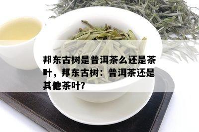 邦东古树是普洱茶么还是茶叶，邦东古树：普洱茶还是其他茶叶？