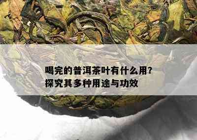 喝完的普洱茶叶有什么用？探究其多种用途与功效