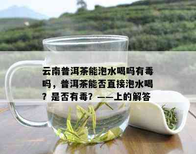 云南普洱茶能泡水喝吗有吗，普洱茶能否直接泡水喝？是否有？——上的解答