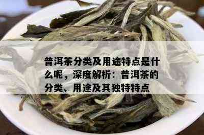 普洱茶分类及用途特点是什么呢，深度解析：普洱茶的分类、用途及其独特特点