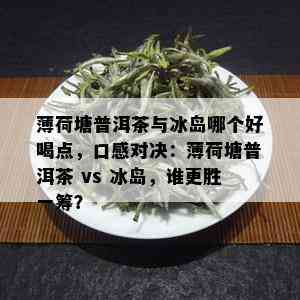 薄荷塘普洱茶与冰岛哪个好喝点，口感对决：薄荷塘普洱茶 vs 冰岛，谁更胜一筹？