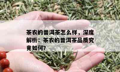 茶农的普洱茶怎么样，深度解析：茶农的普洱茶品质究竟如何？