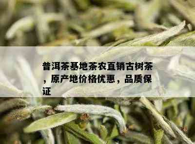 普洱茶基地茶农直销古树茶，原产地价格优惠，品质保证