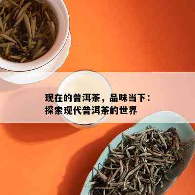 现在的普洱茶，品味当下：探索现代普洱茶的世界