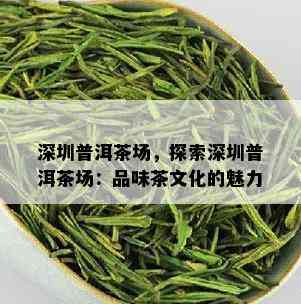 深圳普洱茶场，探索深圳普洱茶场：品味茶文化的魅力