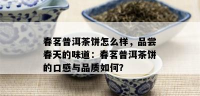 春茗普洱茶饼怎么样，品尝春天的味道：春茗普洱茶饼的口感与品质如何？