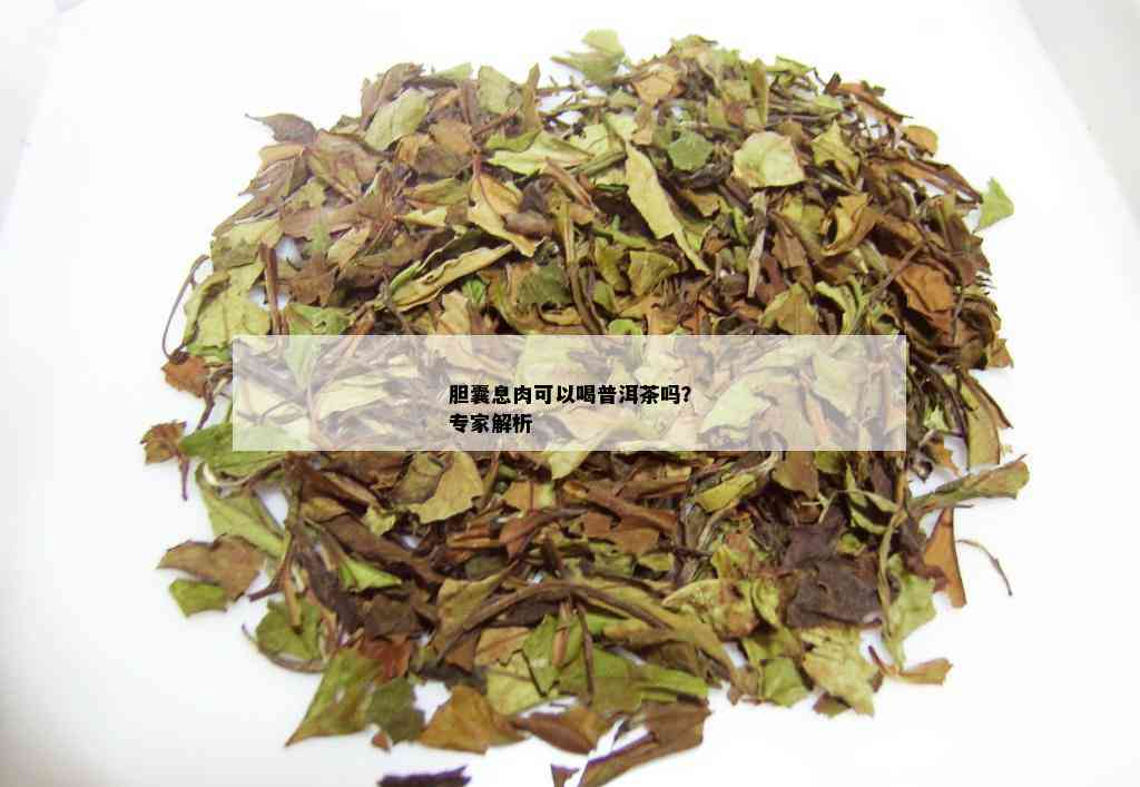 胆囊息肉可以喝普洱茶吗？专家解析