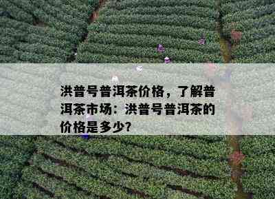 洪普号普洱茶价格，了解普洱茶市场：洪普号普洱茶的价格是多少？