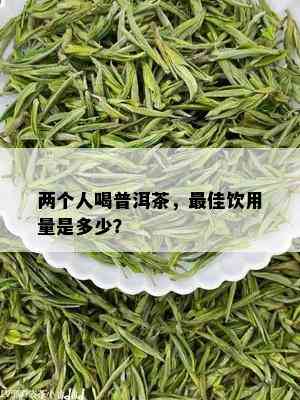 两个人喝普洱茶，更佳饮用量是多少？