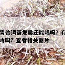 青普洱茶发霉还能喝吗？有吗？查看相关图片