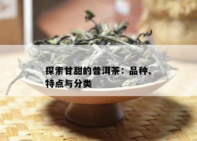 探索甘甜的普洱茶：品种、特点与分类